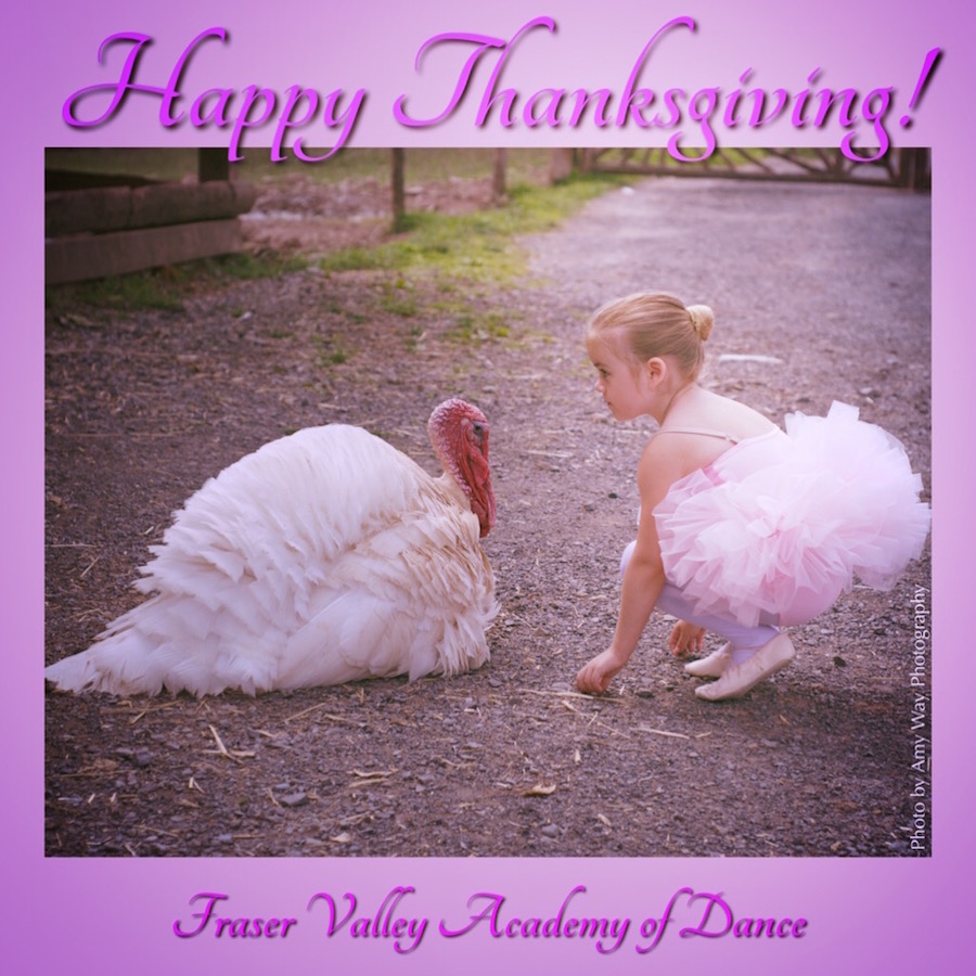 Happy Thanksgiving turkey with baby ballerina in tutu