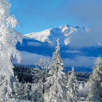Winter BC 2020 snow, trees, mountains, blue sky